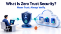 Man verified through identity shield before accessing cloud servers and database
